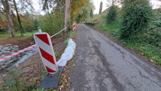 Provádění stavby Zajištění svahu nad tokem Kotelnice u č.p. 160 v obci Písečná